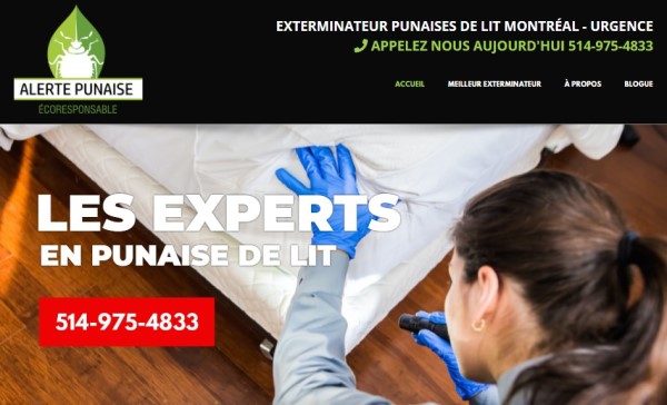 Alerte Punaise