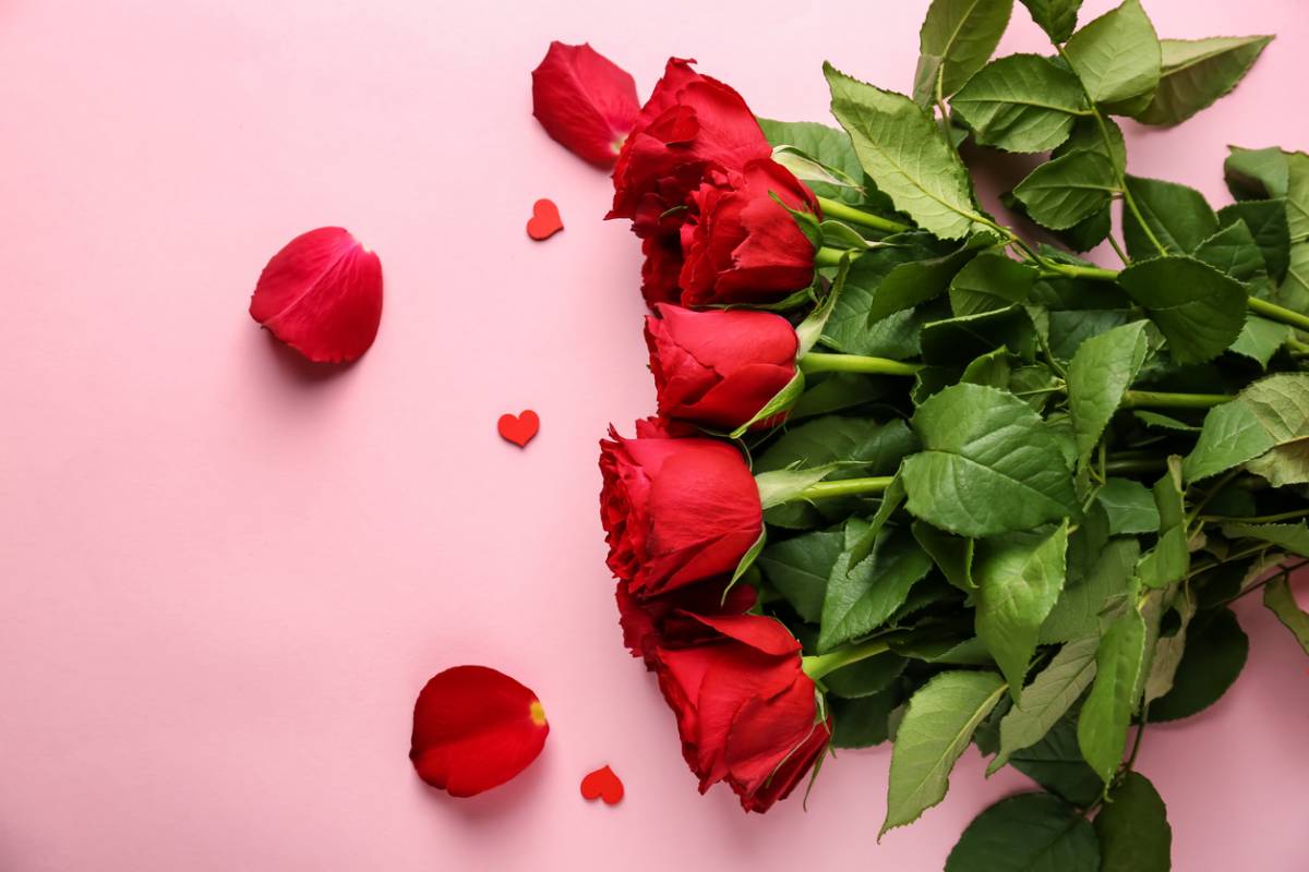 Amour de Roses