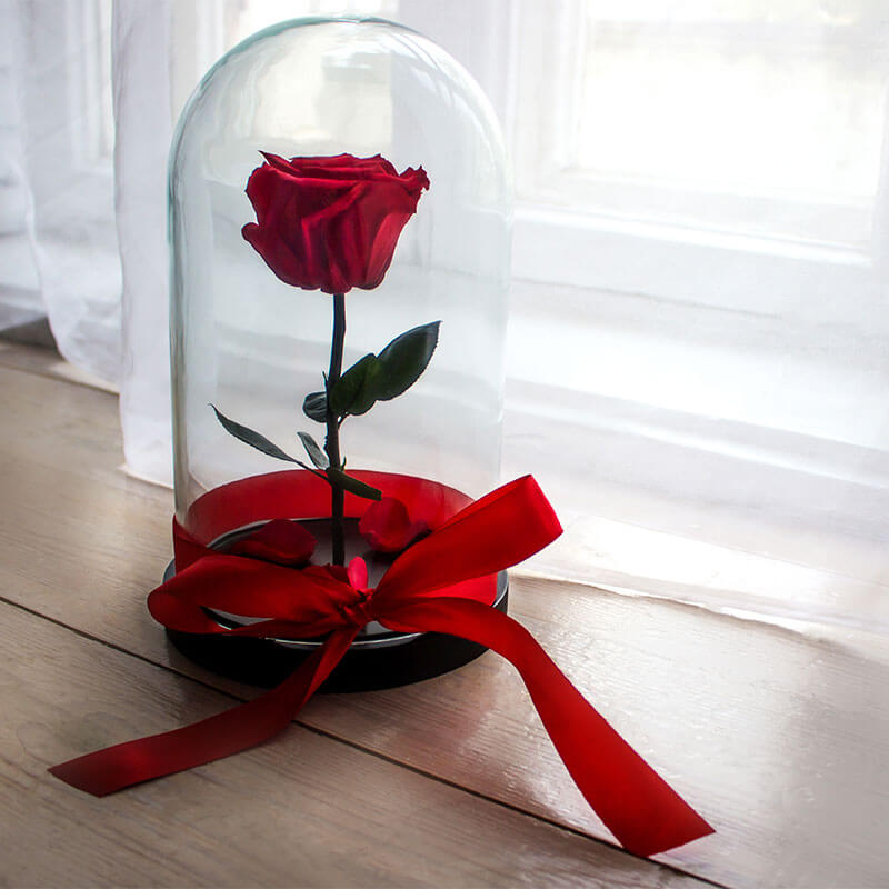 Boutique Amour Rose Éternelle