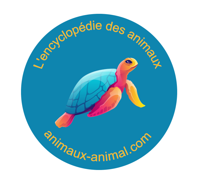 Animaux Animal