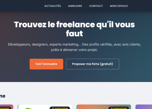 Capture d'écran de la page d'accueil du site 