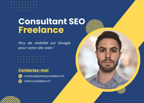 Consultant SEO Freelance
