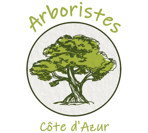 Arboristes Côte d'Azur - conseil, élagage, abattage