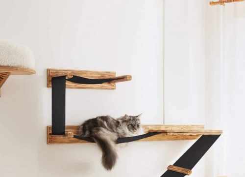Arbre à chat - vite-compare