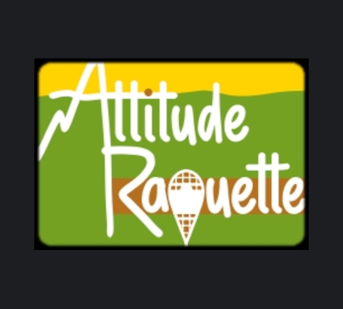 Attitude-Raquette