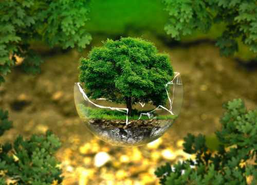 POLLUSOL : audit et diagnostic des sols