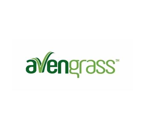 Avengrass