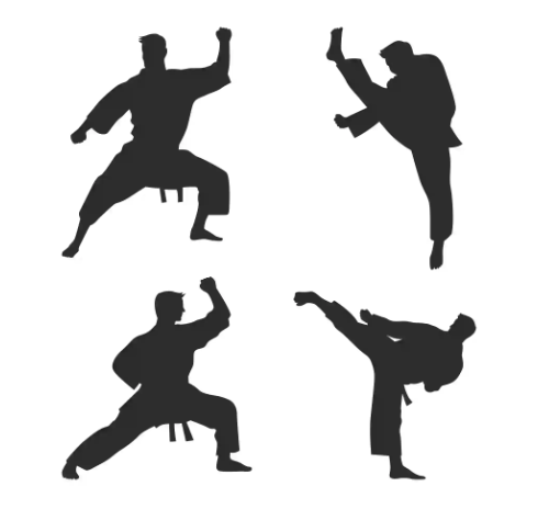 logo du dojo club de karaté à Avignon