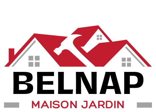 Logo du site Belnap.fr