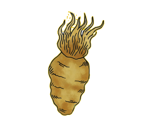 Les Bienfaits de la Maca