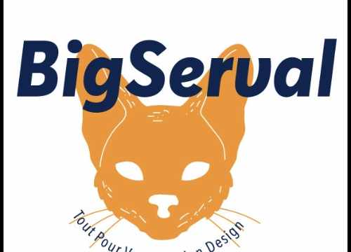 vidéo d'entreprise animée