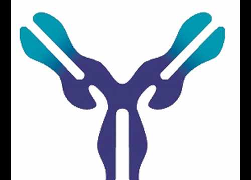 Logo Anticorps