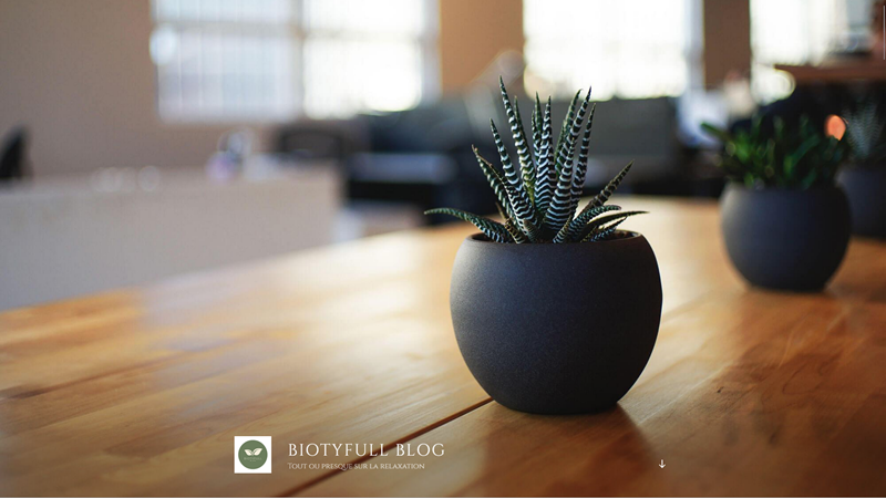 Biotyfull - Blog traite des techniques de relaxation 