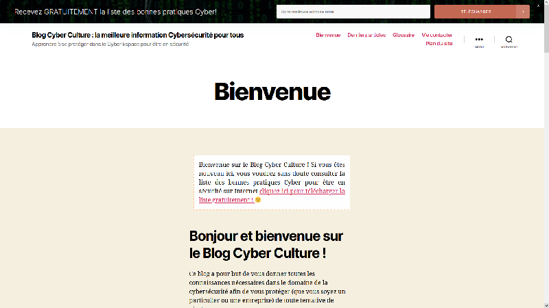 Blog Cyber Culture
