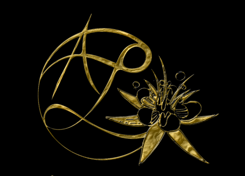 L'Aurore Chocolatée