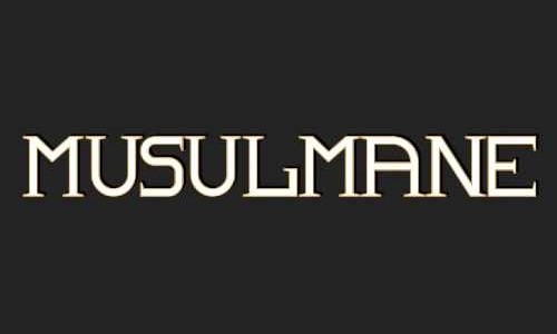 boutique musulmane boutique islamique magasin musulman