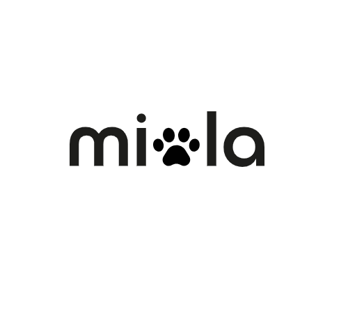chat assis dans une pièce vous regardant
