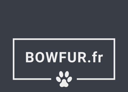 Bowfur - Accessoires pour animaux domestiques