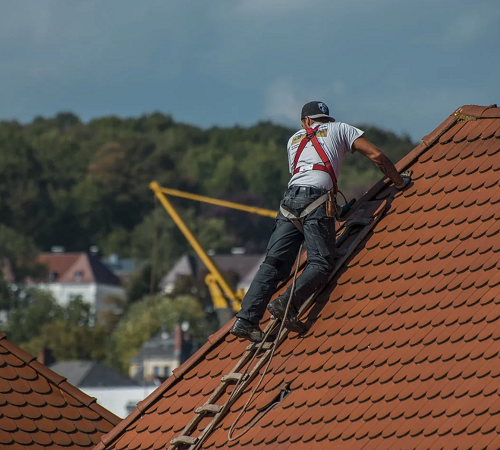Toiture dakwerken roofing zinc charpente demoussage