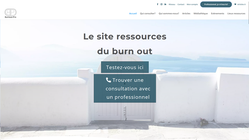 burn out pro 
