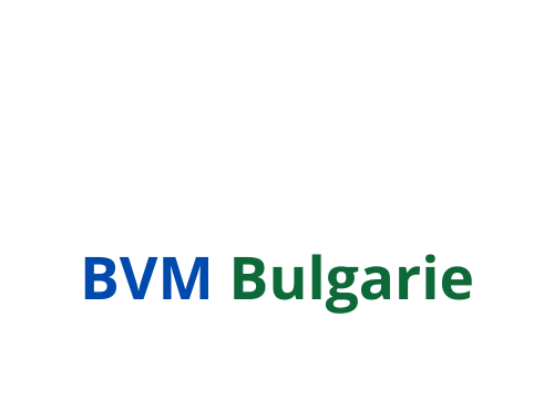 https://bvmbulgarie.com/