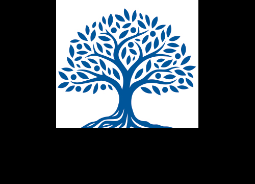 Logo officiel - Les Bons Conseils Financiers