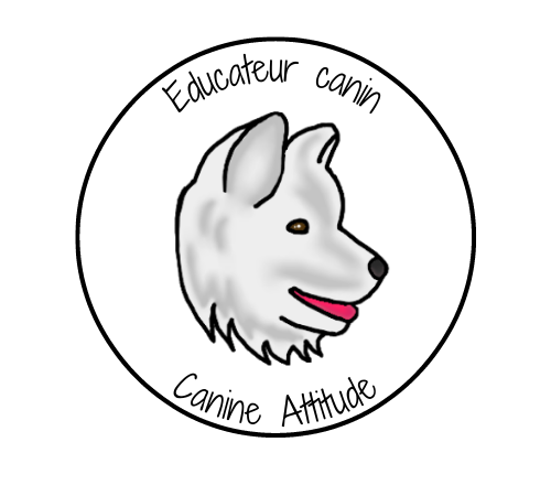 Canine Attitude - éducation canine