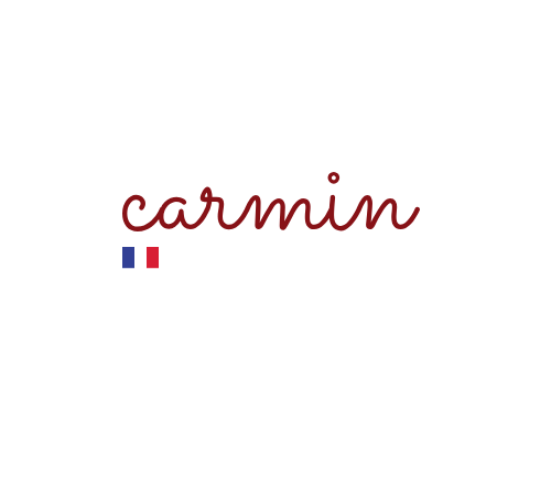 Carmin logo