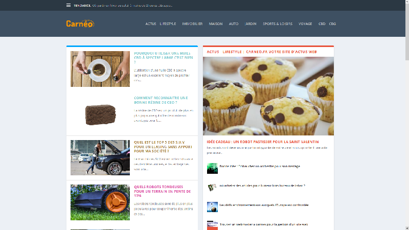 Carneo - webzine d'actualités sur le web