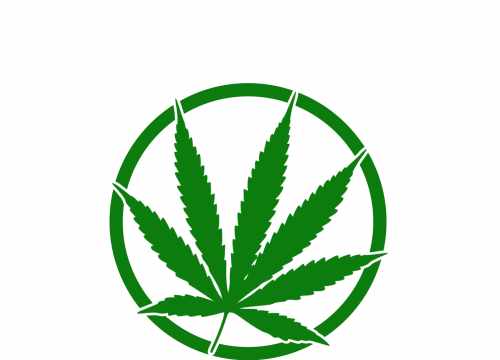 CBDFAM