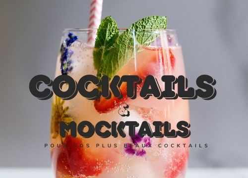 Cocktail et mocktail - Devenez un véritable Bartender