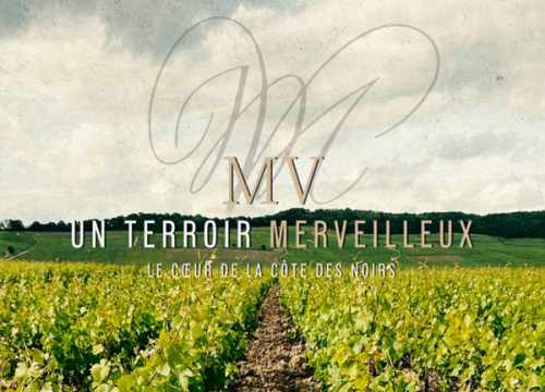 Champagne Maurice Vesselle Bouzy