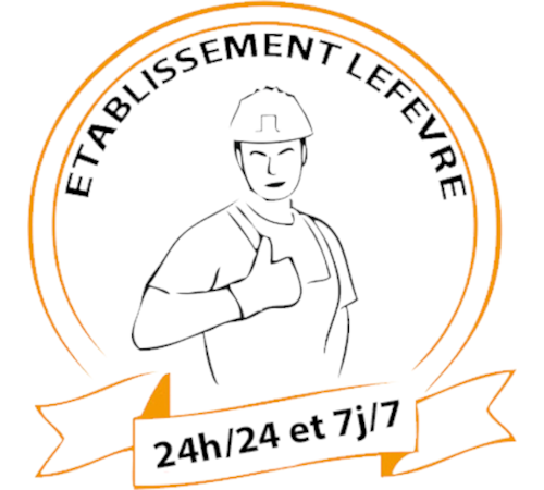 Spécialiste Chauffagiste Frisquet
