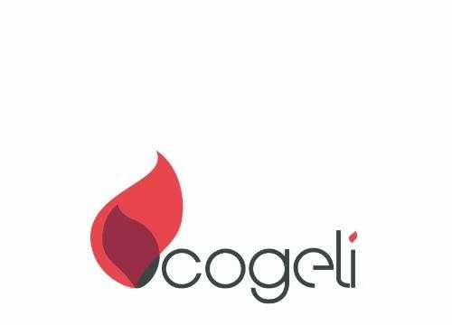 Logo de l'entreprise Cogeli, spécialiste du chauffage au bois à Caen