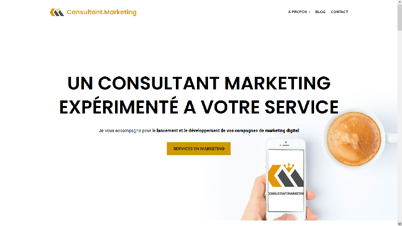 Consultant Marketing