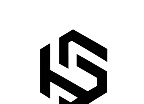 Logo de Hamza Sehouli