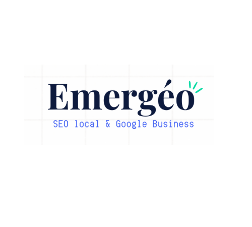 Consultant SEO local