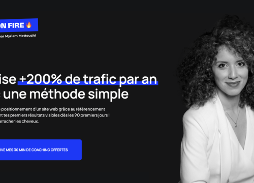 expert seo paris