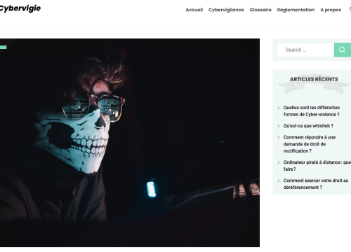 cybervigie