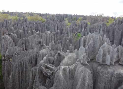 Voyage à Madagascar avec Tour Guide Lovemada