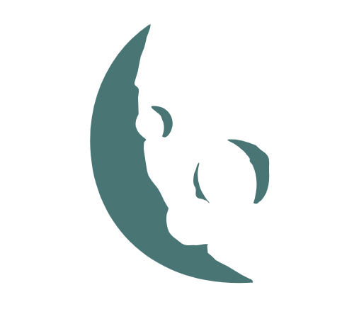 logo asteroid