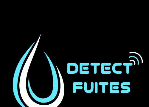 DETECT FUITES - Recherche de fuite d'eau