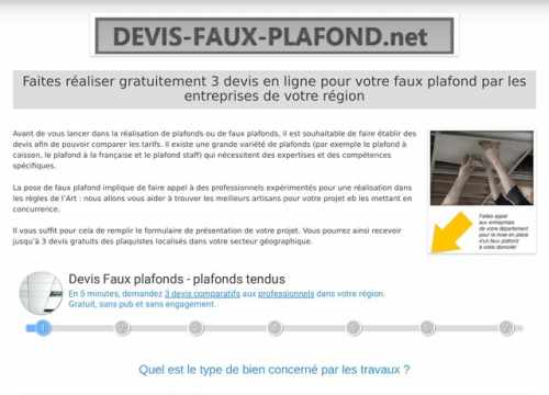 Il s'agit de la capture d'écran de la page d'accueil du site.