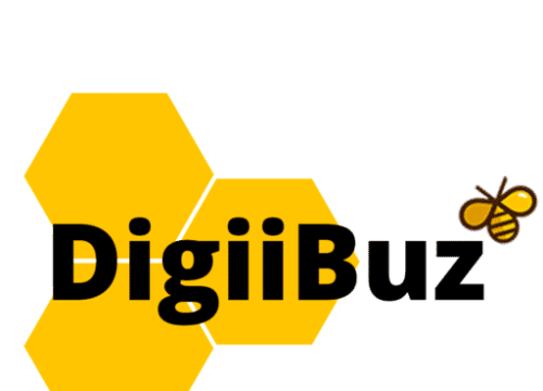 Digiibuz Agence web à Argelès-sur-Mer