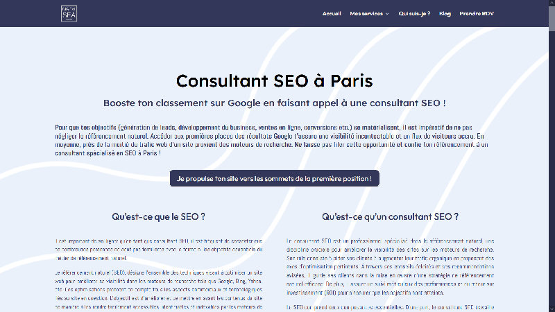 Digital sea agency - Consultant SEO située à Paris