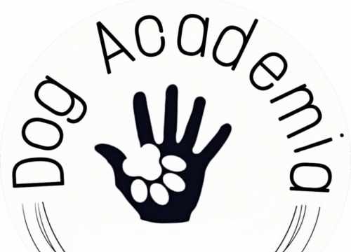  Dog Academia Cévennes – Educateur et comportementaliste canin à Alès 