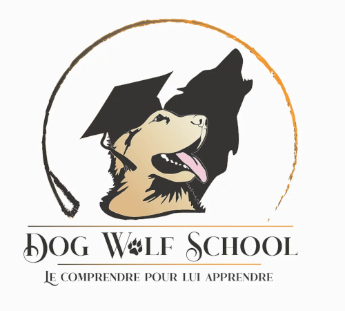 Dog wolf school – Educateur et comportementaliste canin