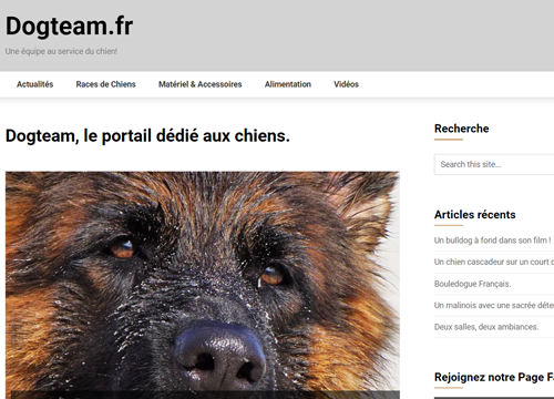 Vignette du site Dogteam.fr