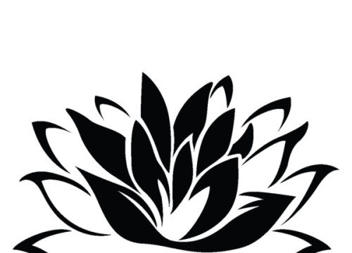 domie energeticienne magnetiseur Angoulême