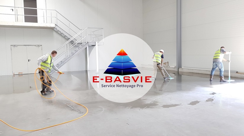 E-Basvie Service Pro